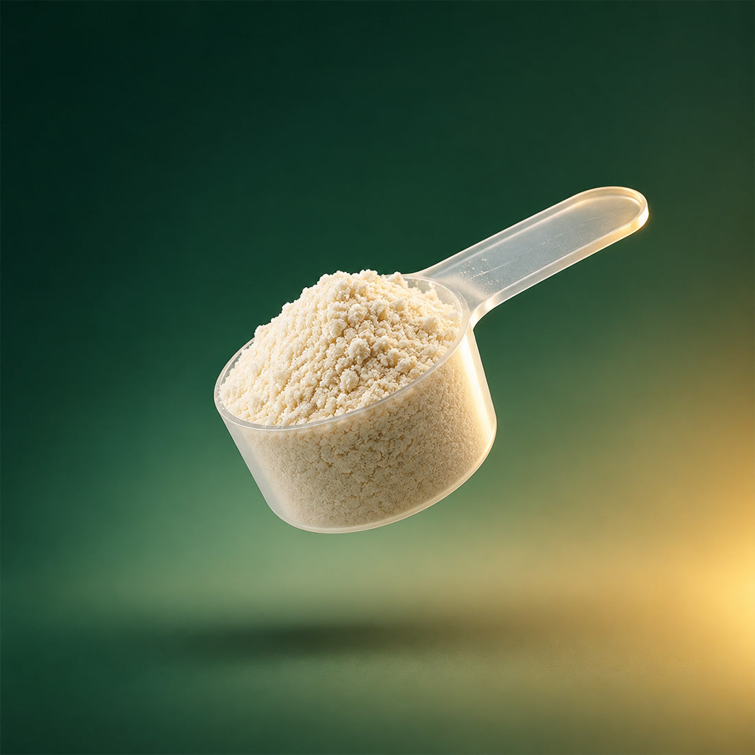 GutExpert® PHGG – Prebiotic fiber for regularity and digestive comfort